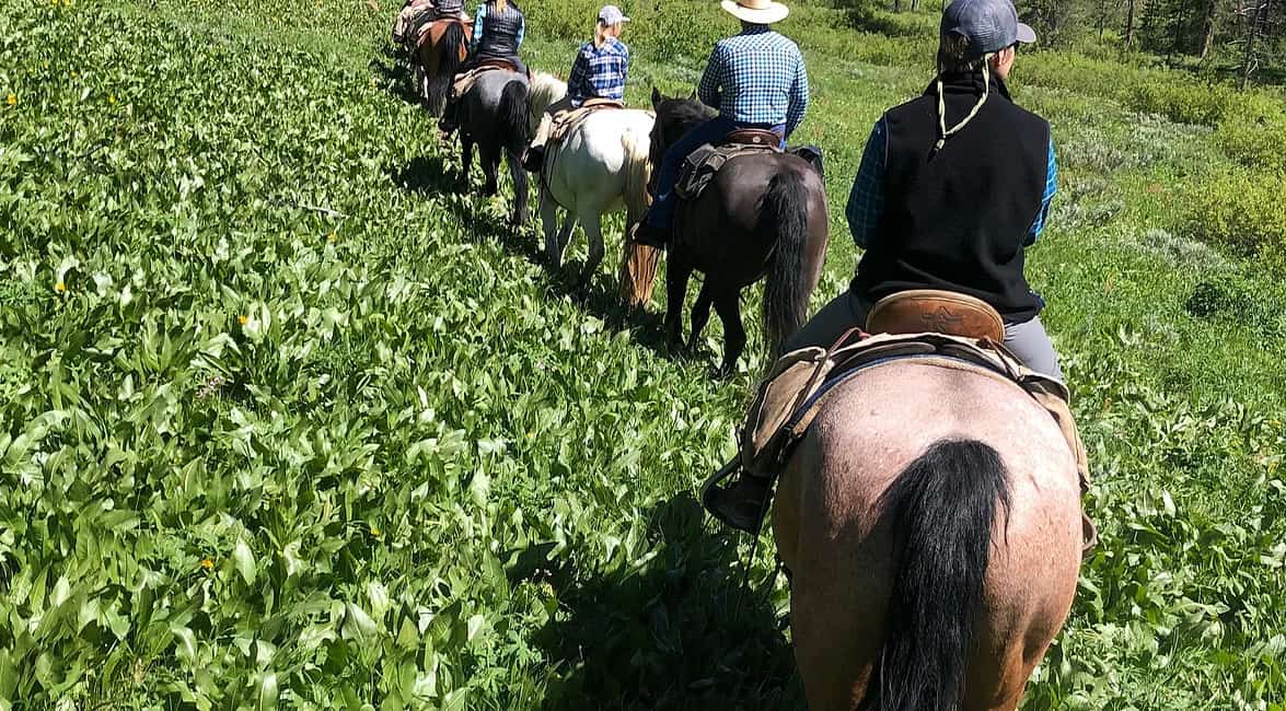 Horseback Riding Jackson Hole WY Horseback Riding Jackson Hole WY