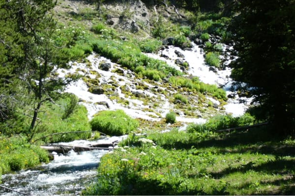 Jackson Hole WY Scenic Horseback Riding Trips