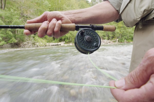 Wyoming Fly Fishing Trips