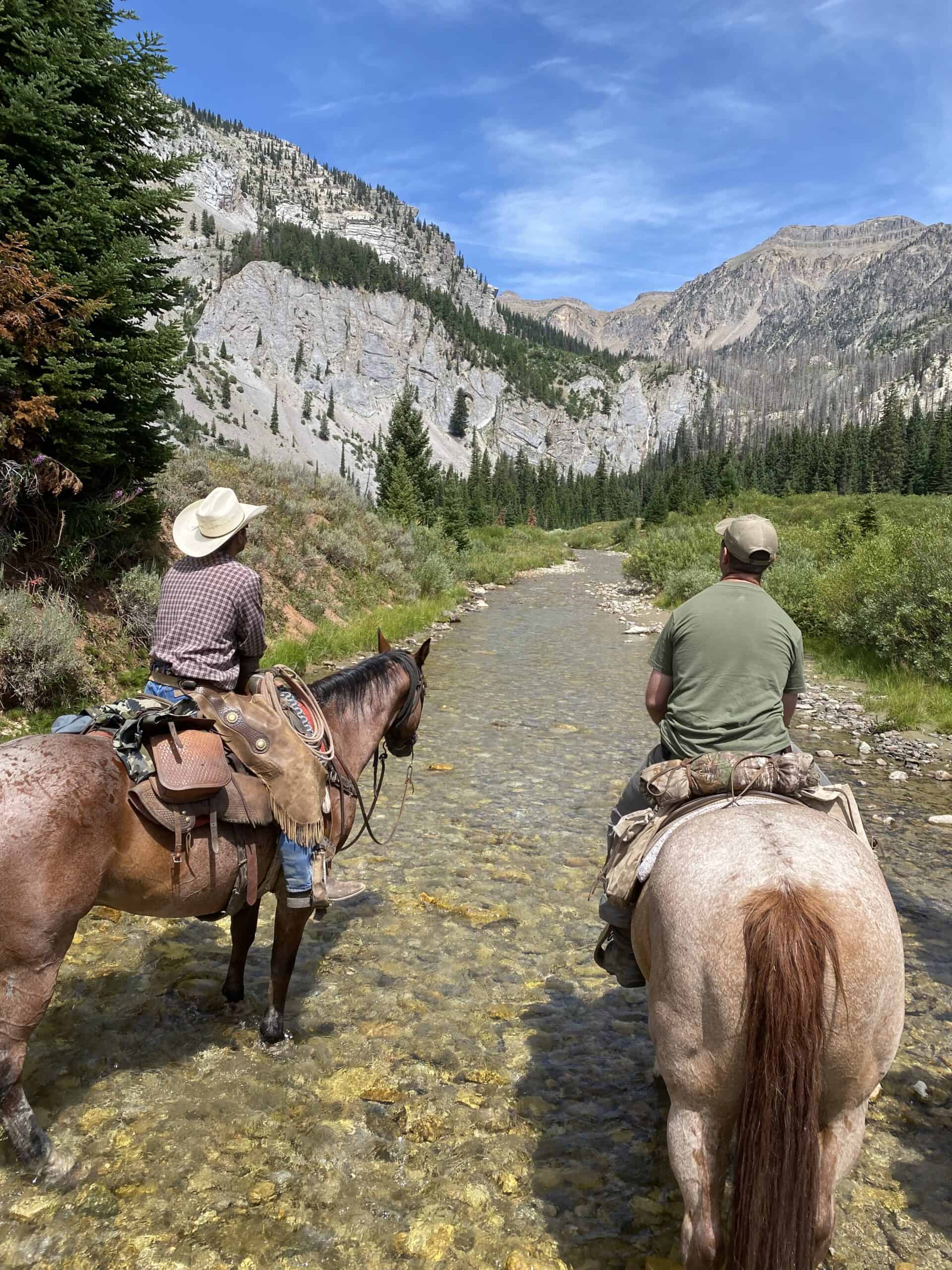 Shoal Creek Outfitters - Hunting, Fishing, and Horseback Tours